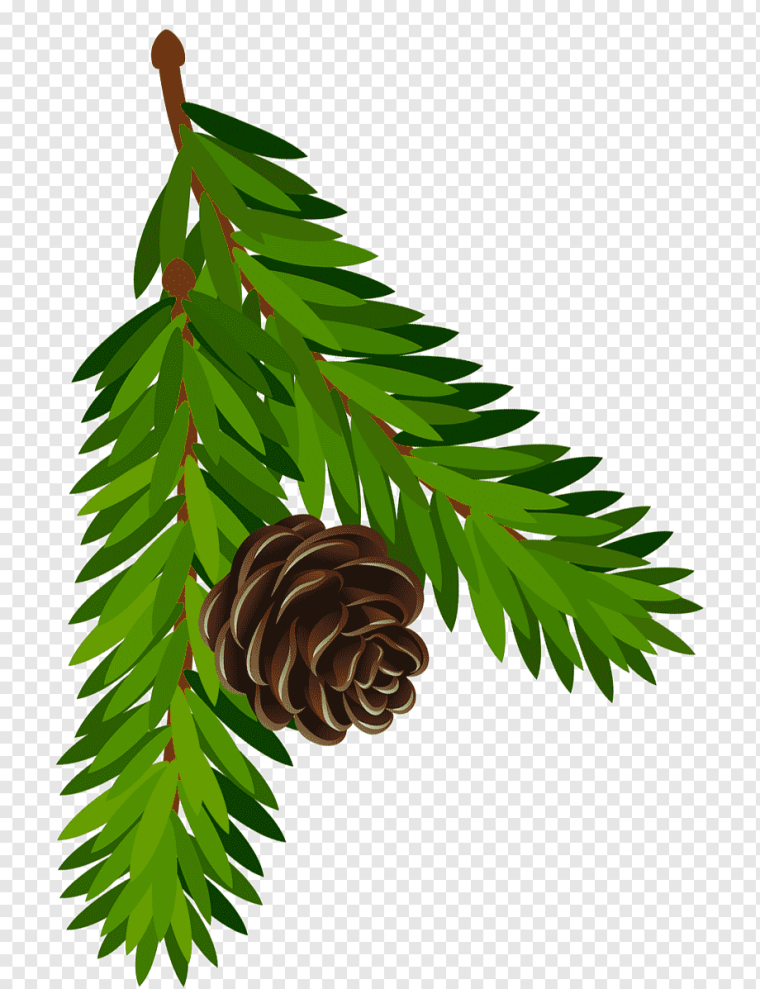 Елки ветки сбоку мультяшно