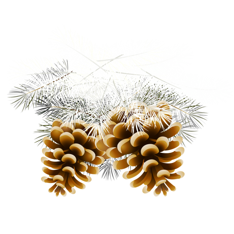 Новогодняя ветка