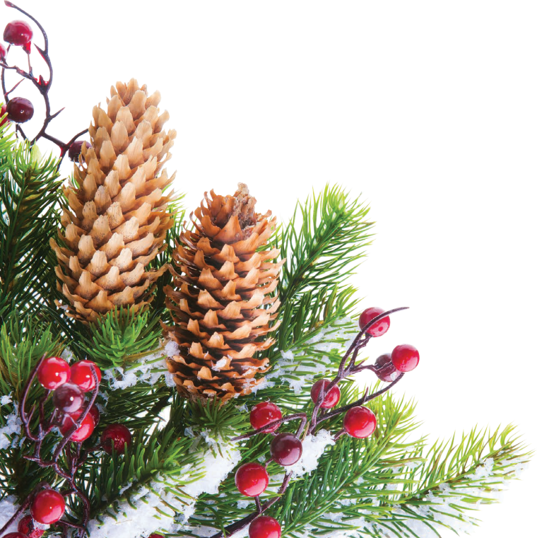 Елочные ветки с шишками