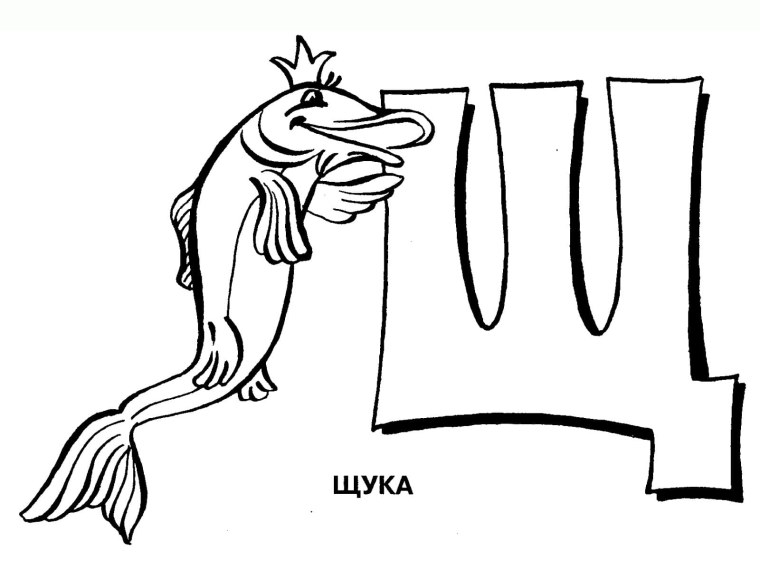 Щука раскраска