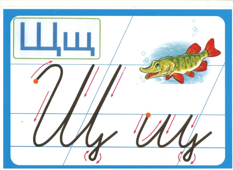 Буква щ письменная