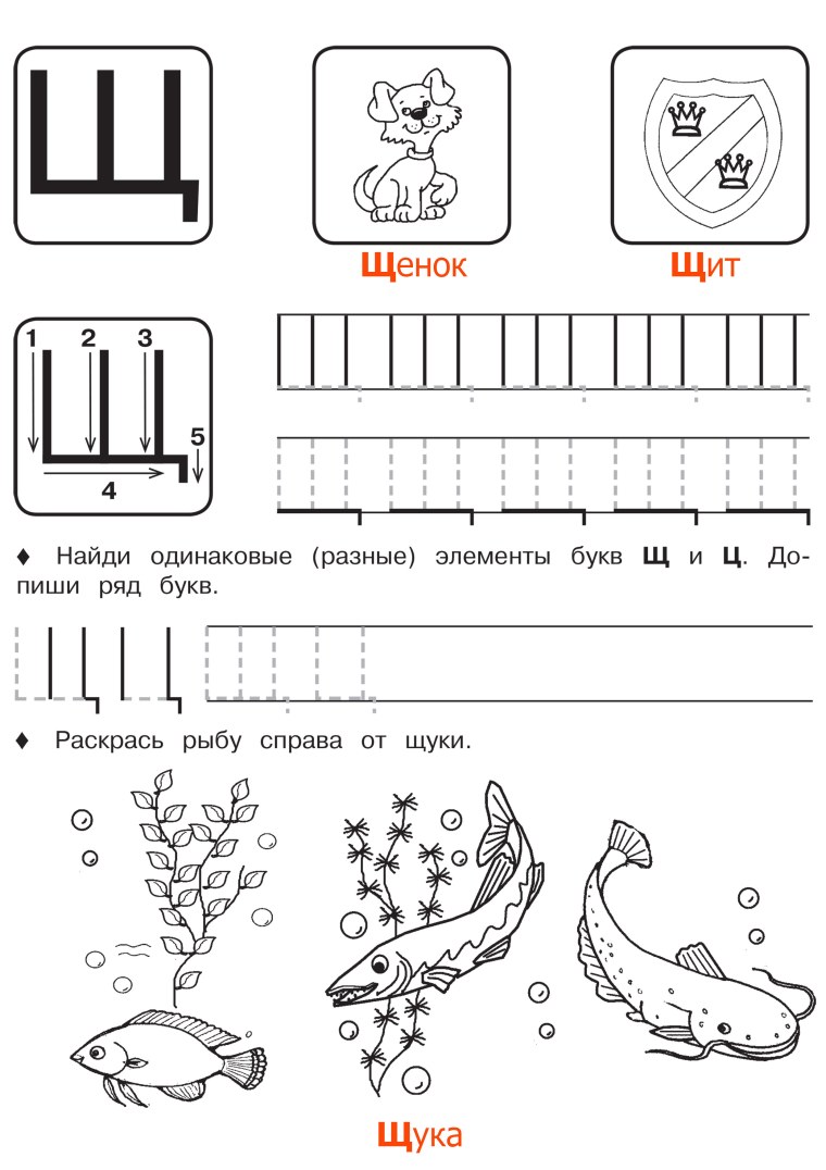 Буква щ пропись для дошкольников