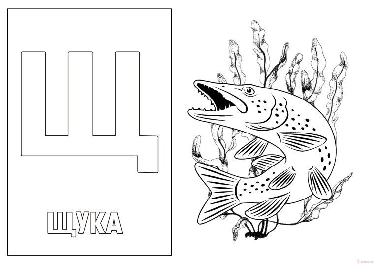 Предметы на букву щ