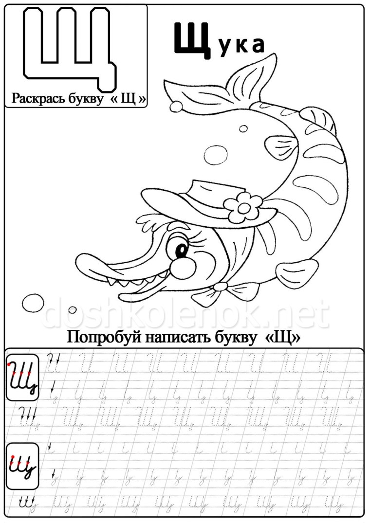 Пропись буква щ прописная