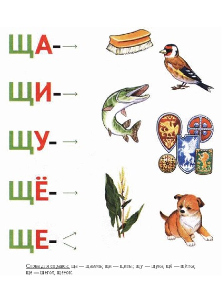 Логопедические задания для автоматизации звука щ