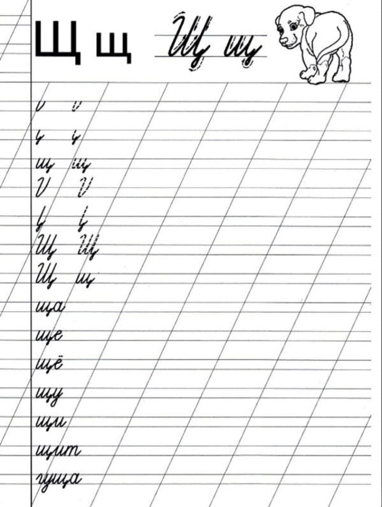 Прописи. Буквы