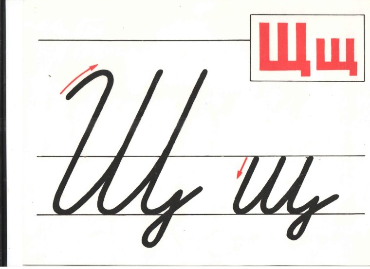 Строчная буква ш печатная и письменная