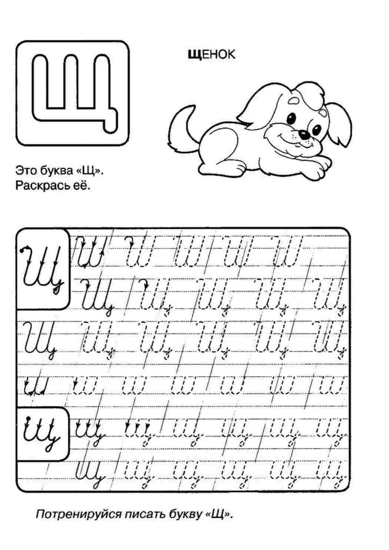 Пропись буква щ прописная