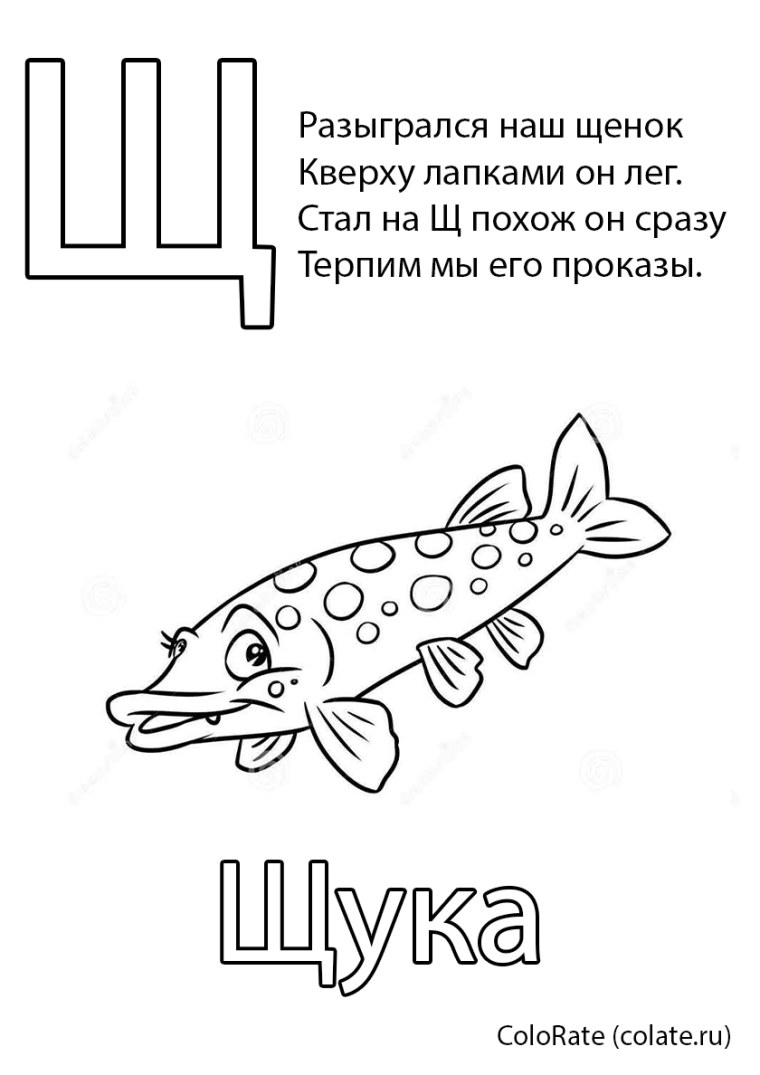 Щука раскраска для детей