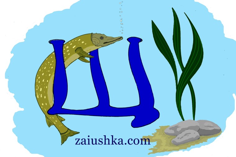 Щука картинка для детей