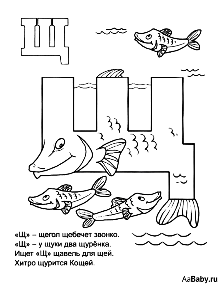 Буква щ для дошкольников