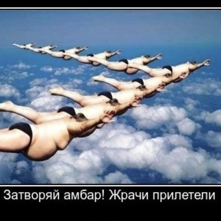 Небесная сотня карикатуры