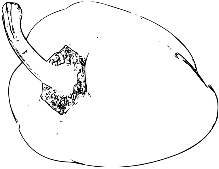 Раскраска Эдисон перец