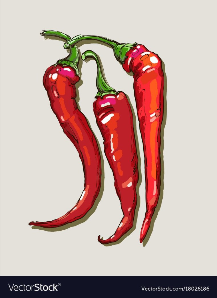 Скетчинг перец Чили