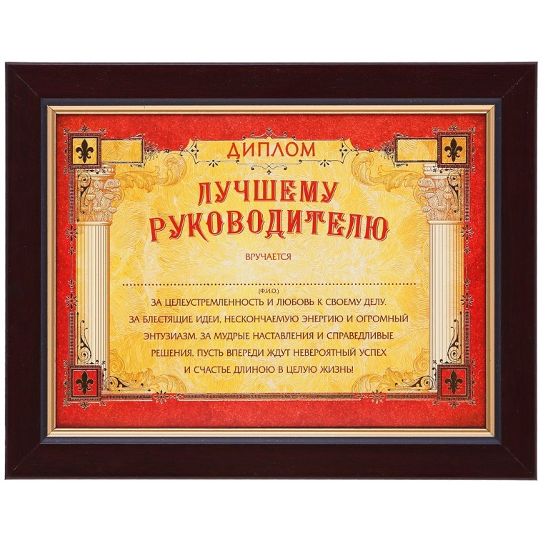 Диплом "лучшему руководителю"