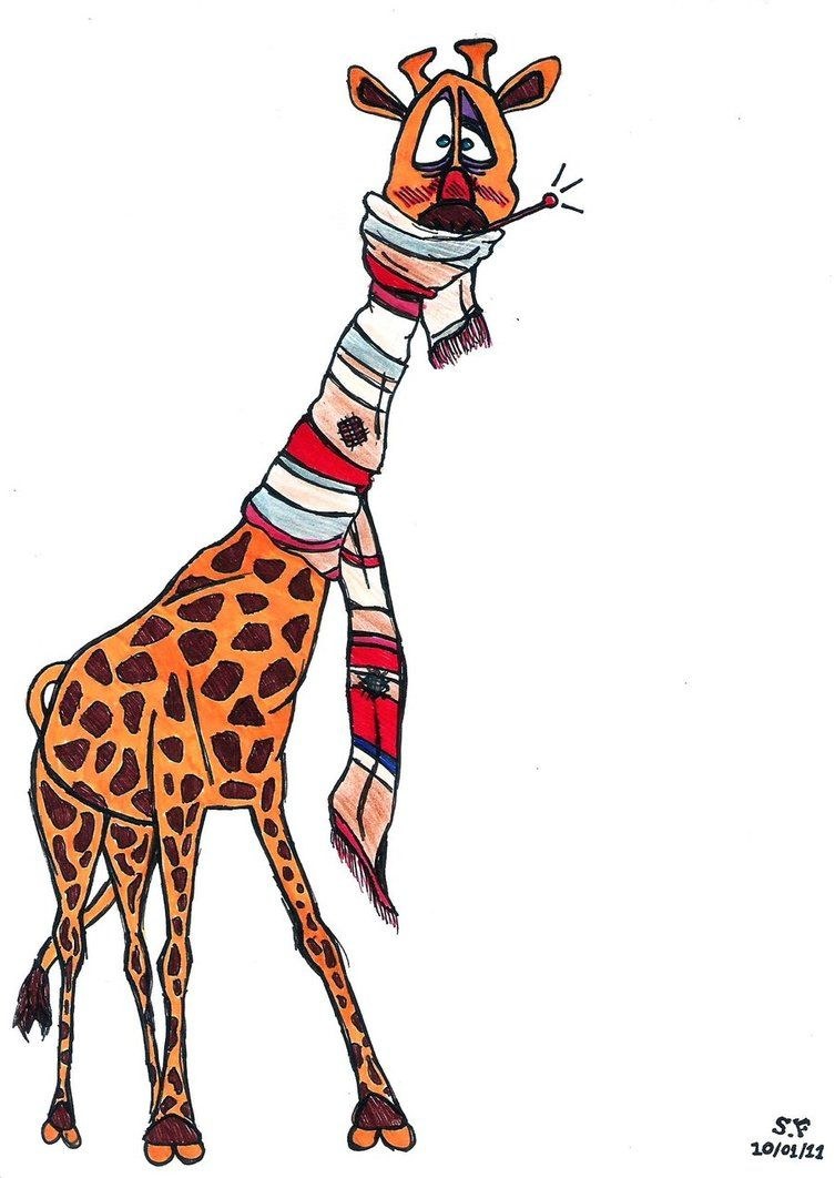 Жираф Мелман с градусником