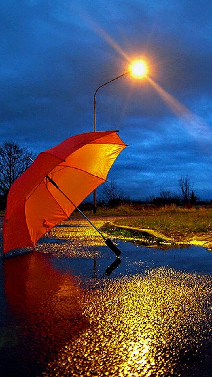 Спокойной ночи зонтик