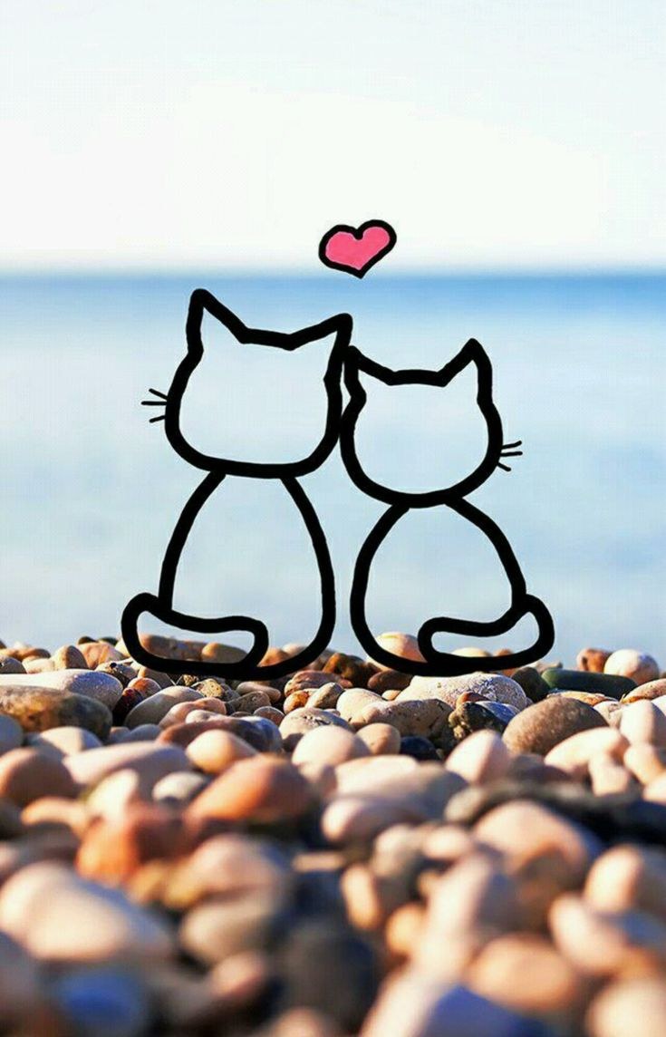 Позитивная заставка