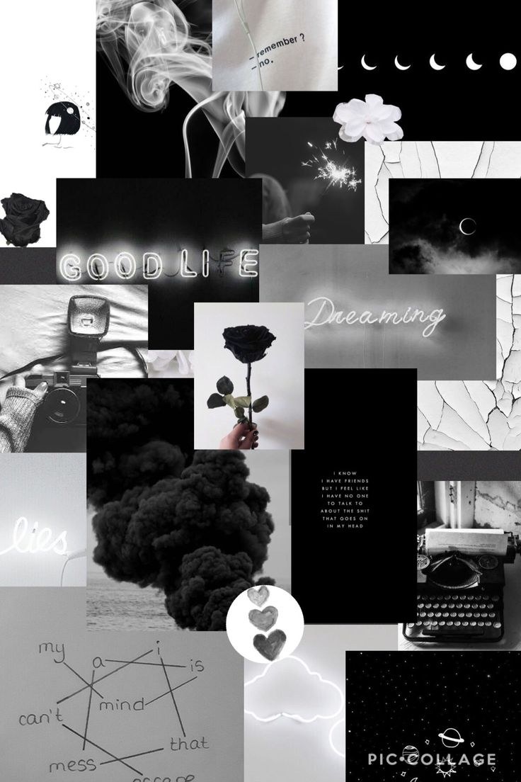 Каллы черные Эстетика