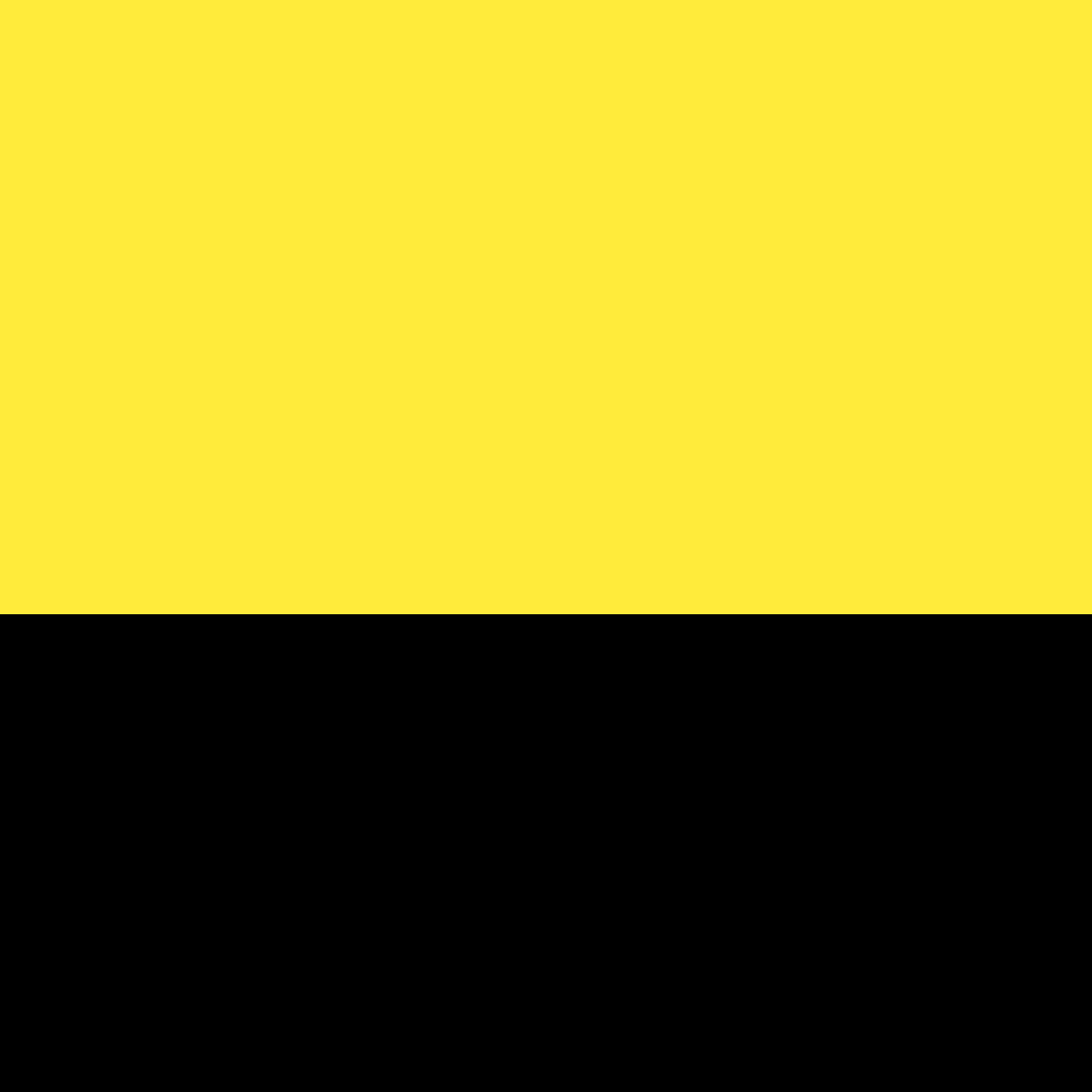 Флаг цвет черный желтый белый. Желто черный цвет. Черно желтый. Чёрно-жёлтый флаг. Желто черный флаг.