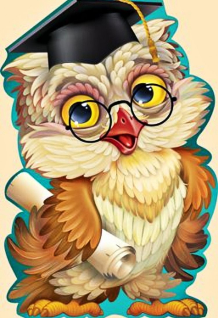 Ученая Сова