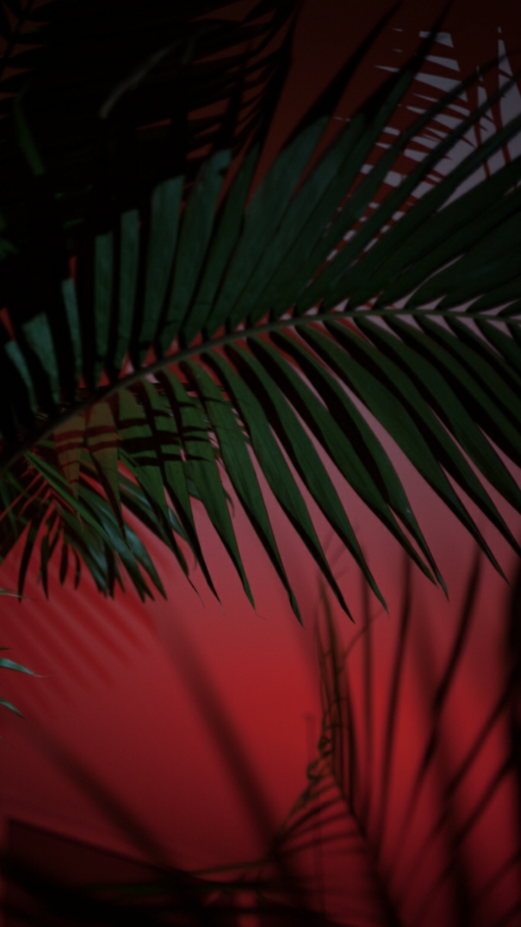 Эстетика красного