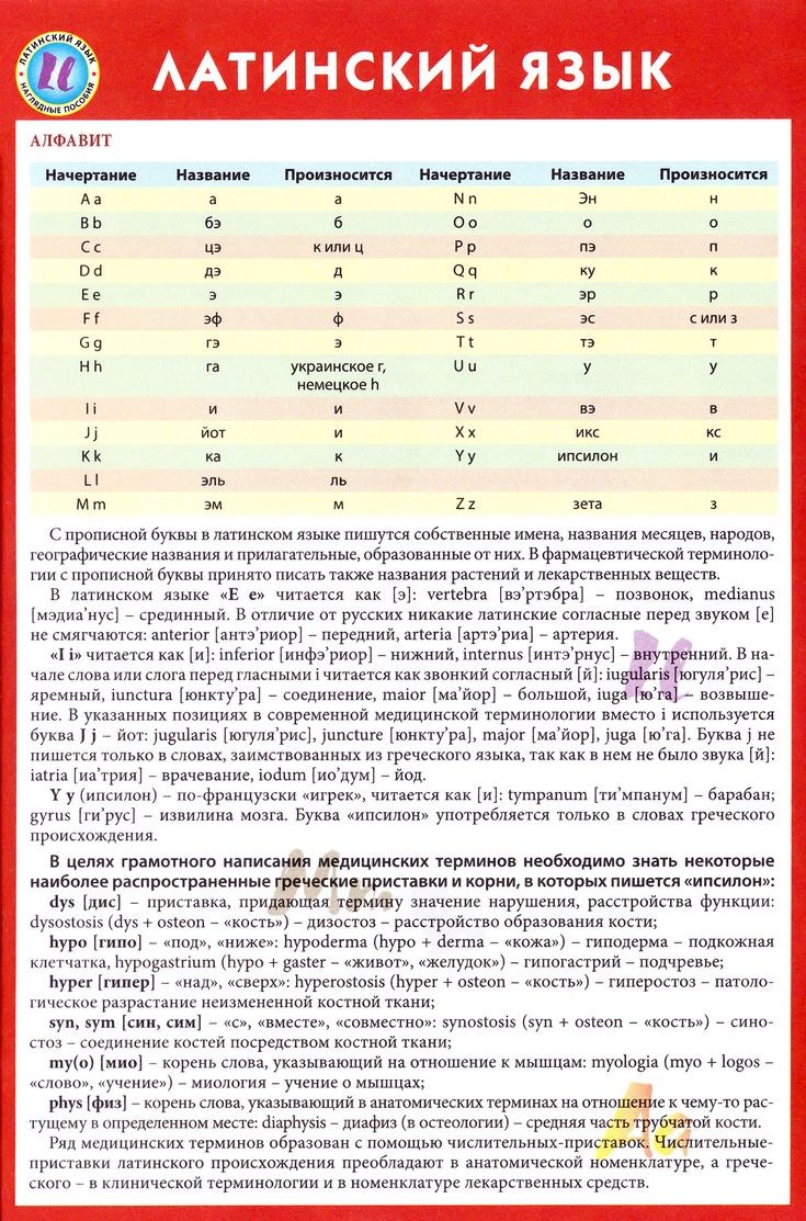 Я на латинском