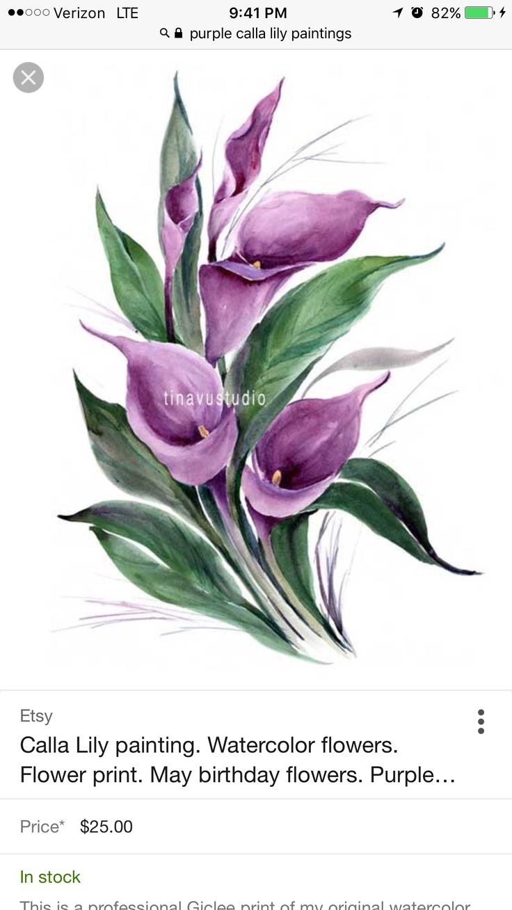 Каллы в живописи