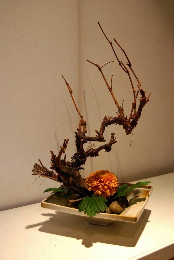 Икебана с корягой