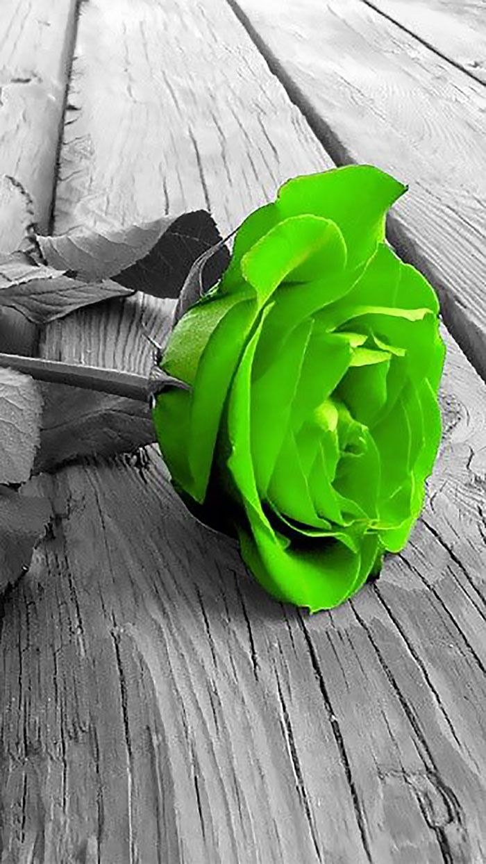 Зеленый цвет