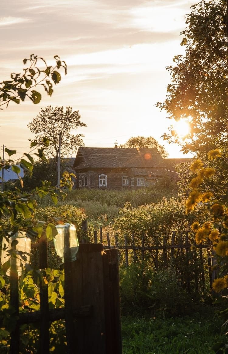 Деревенская эстетика