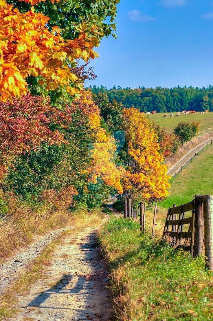 Красивая осень в деревне