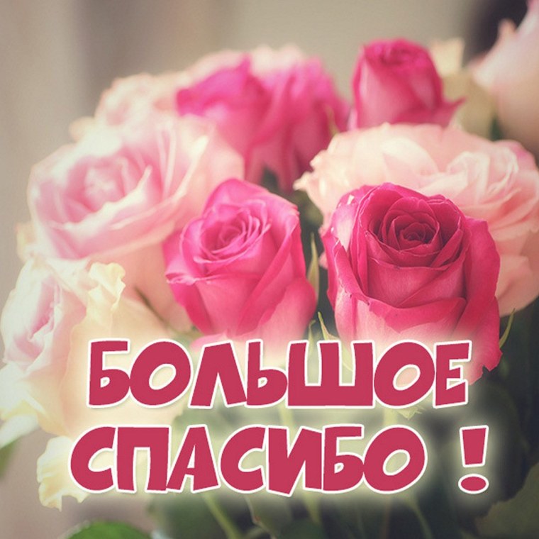 Спасибо родная