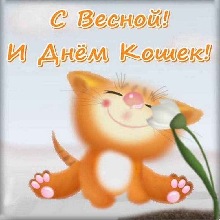 Открытки спасибки