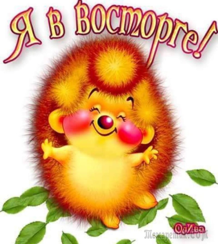 Открытка очень классно