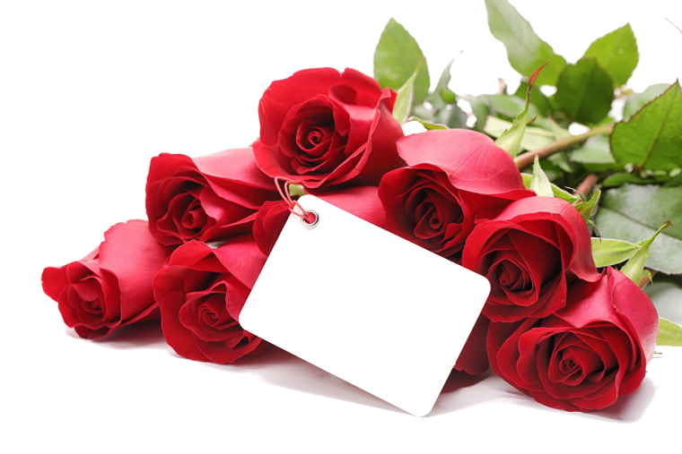 Открытки с розами