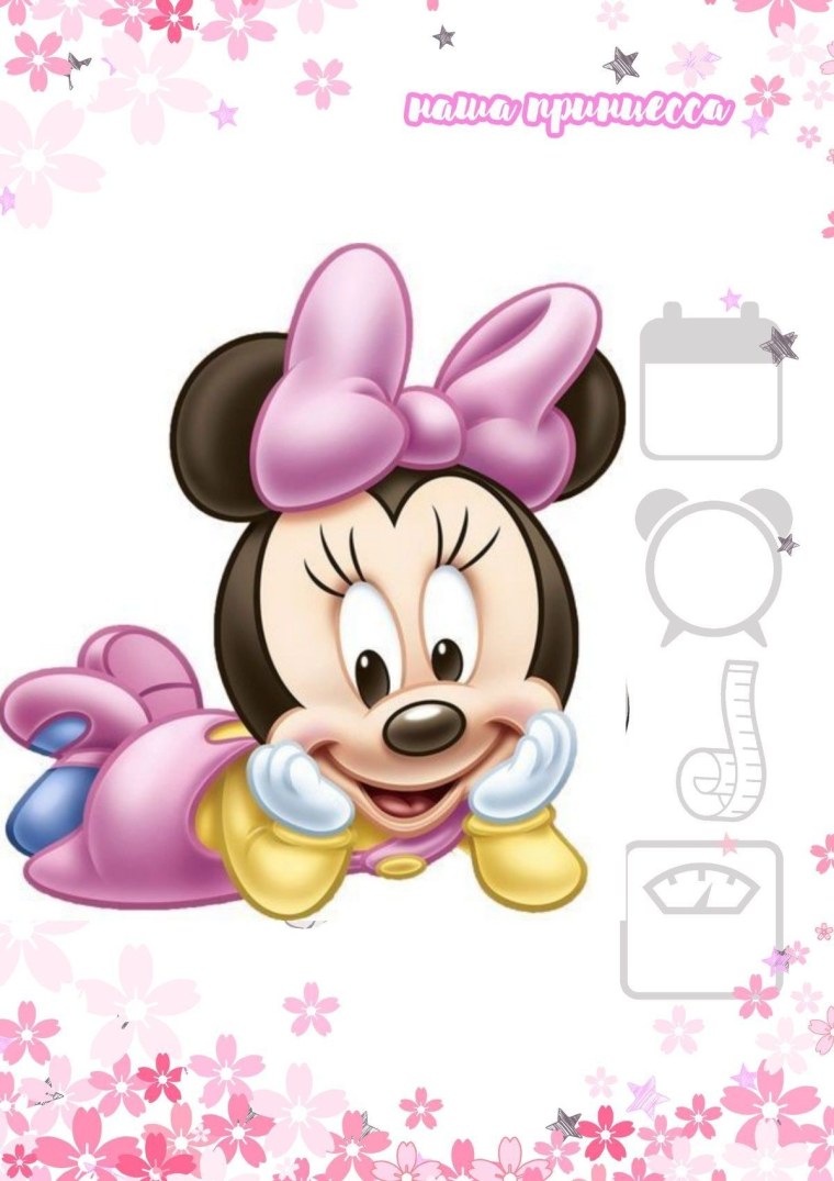 Метрика Минни Маус