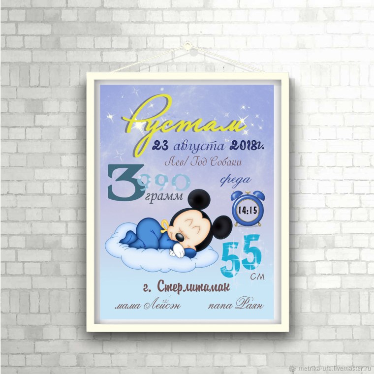 Метрика для мальчика Микки