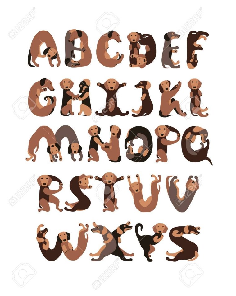 Буквы в стиле животных