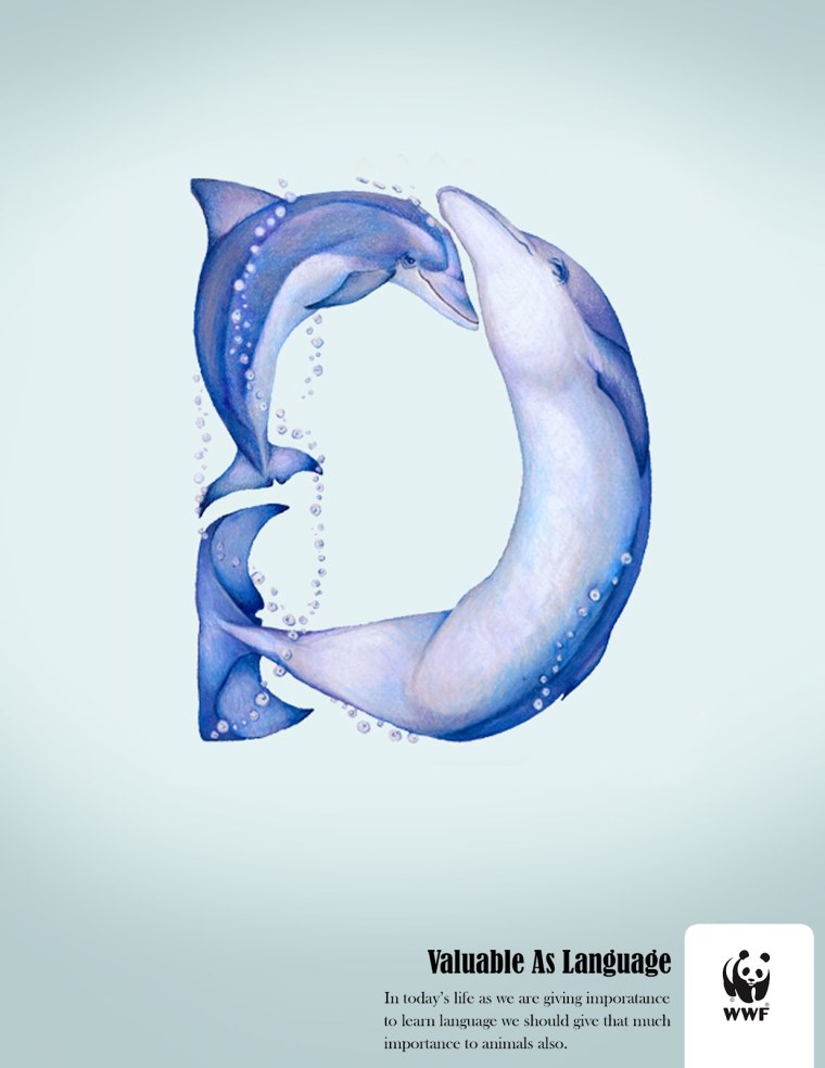 Буквы алфавита в виде животных