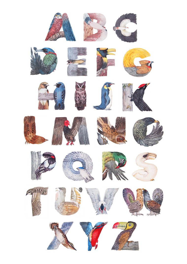 Буквы в виде птиц