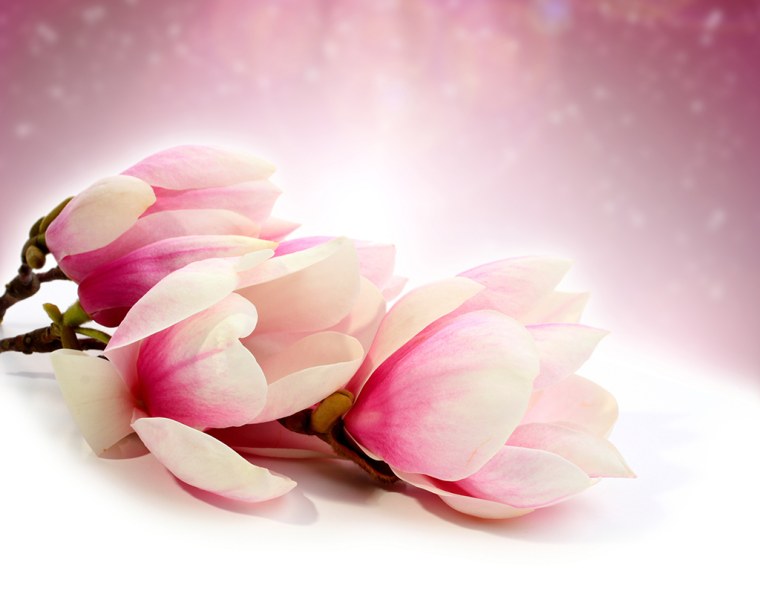 С днём рождения девушке