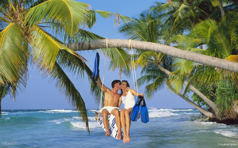 Море пальмы любовь