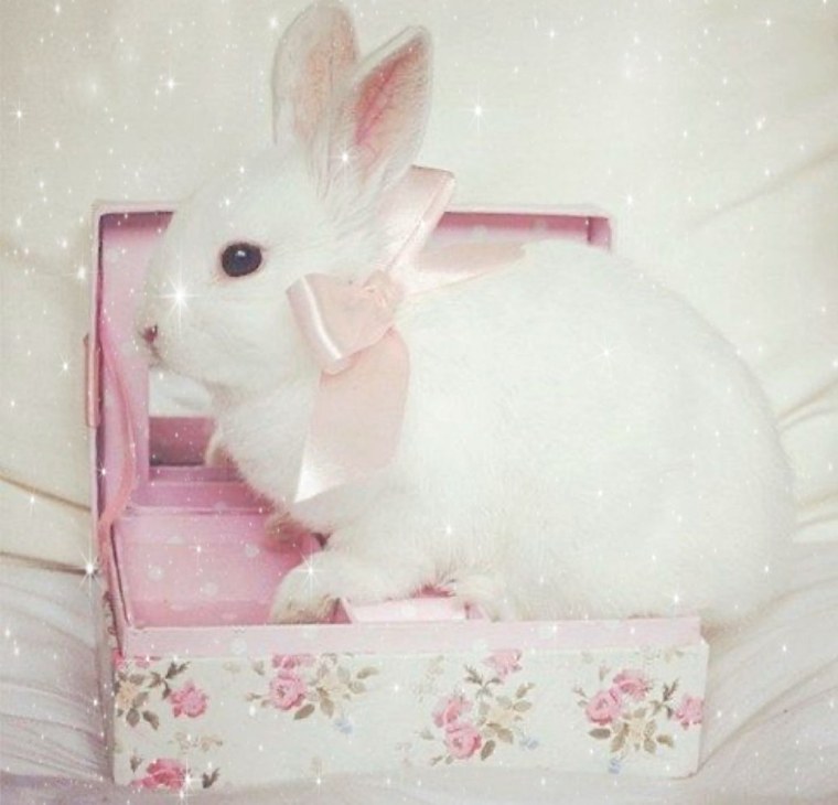 Белый кролик с бантиком