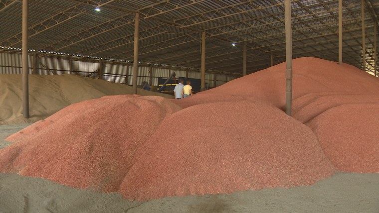 Уборочная 2022 в Тульской области