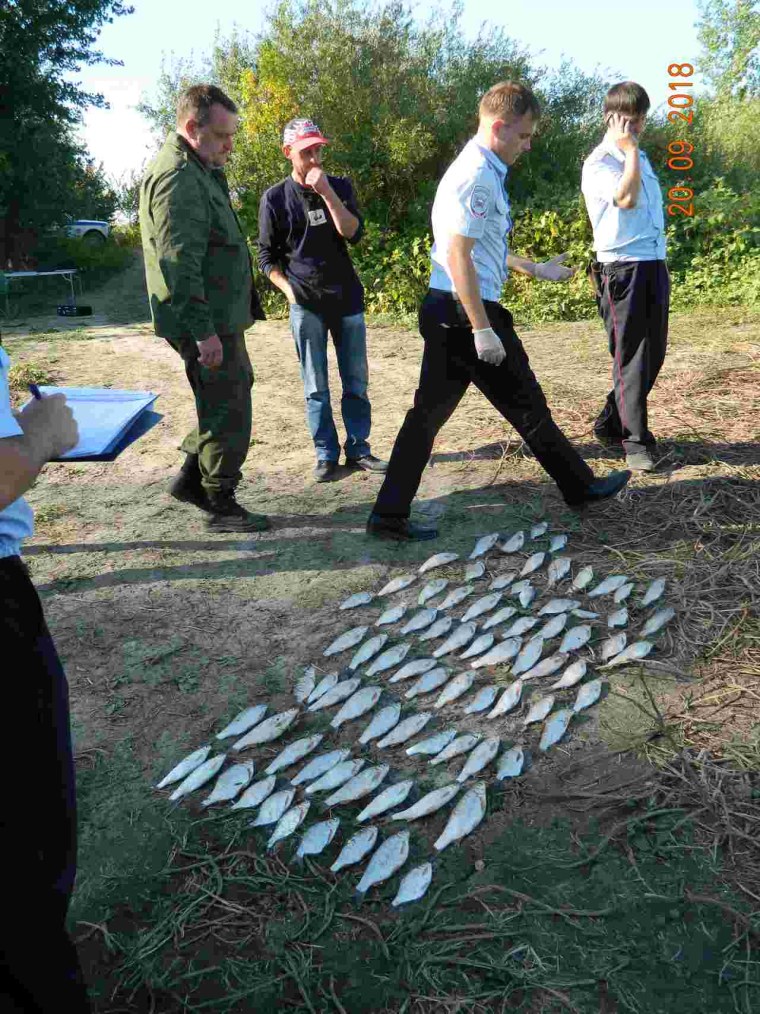 Клетский район Волгоградской области