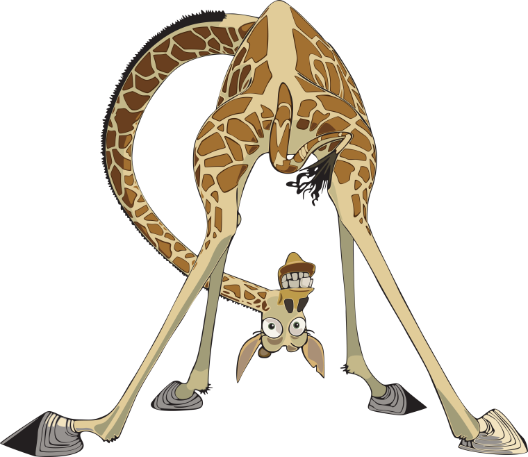 Мадагаскар Жираф Мелман