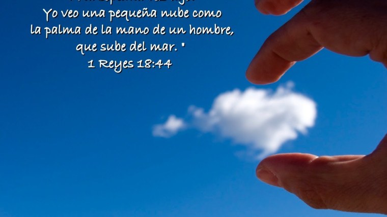 Ваши мечты обязательно сбудутся