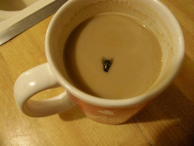 Паук в кружке с чаем