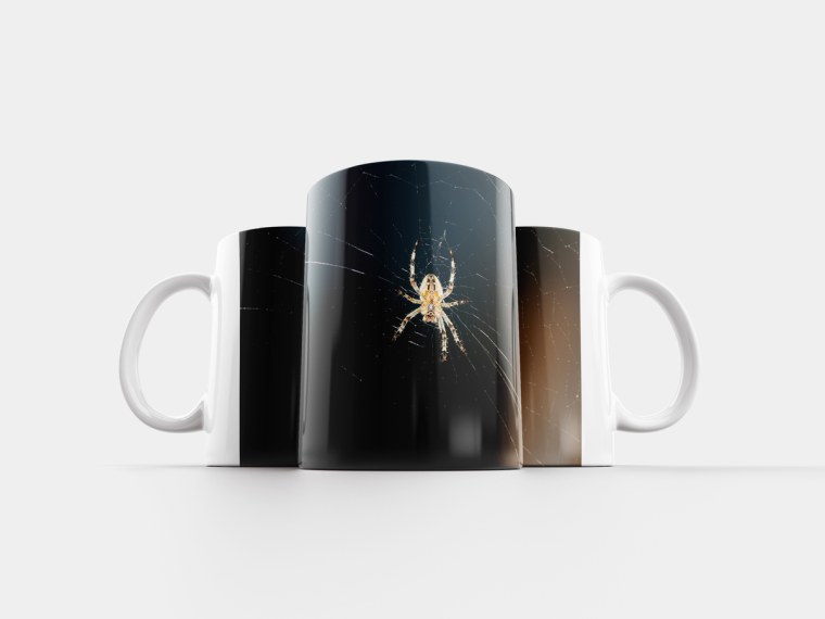 Кружка с пауком на дне